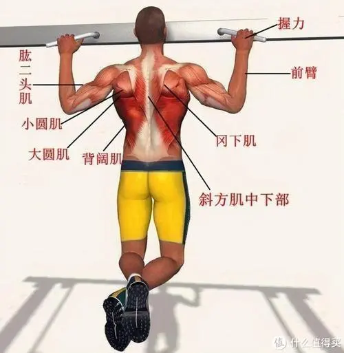 关于投标绿化工程的规定